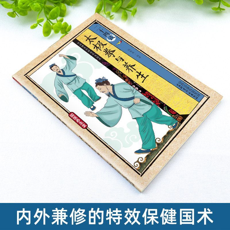 24 Style Tai Chi and Health Ex - Health & Wellness Alegria review and price