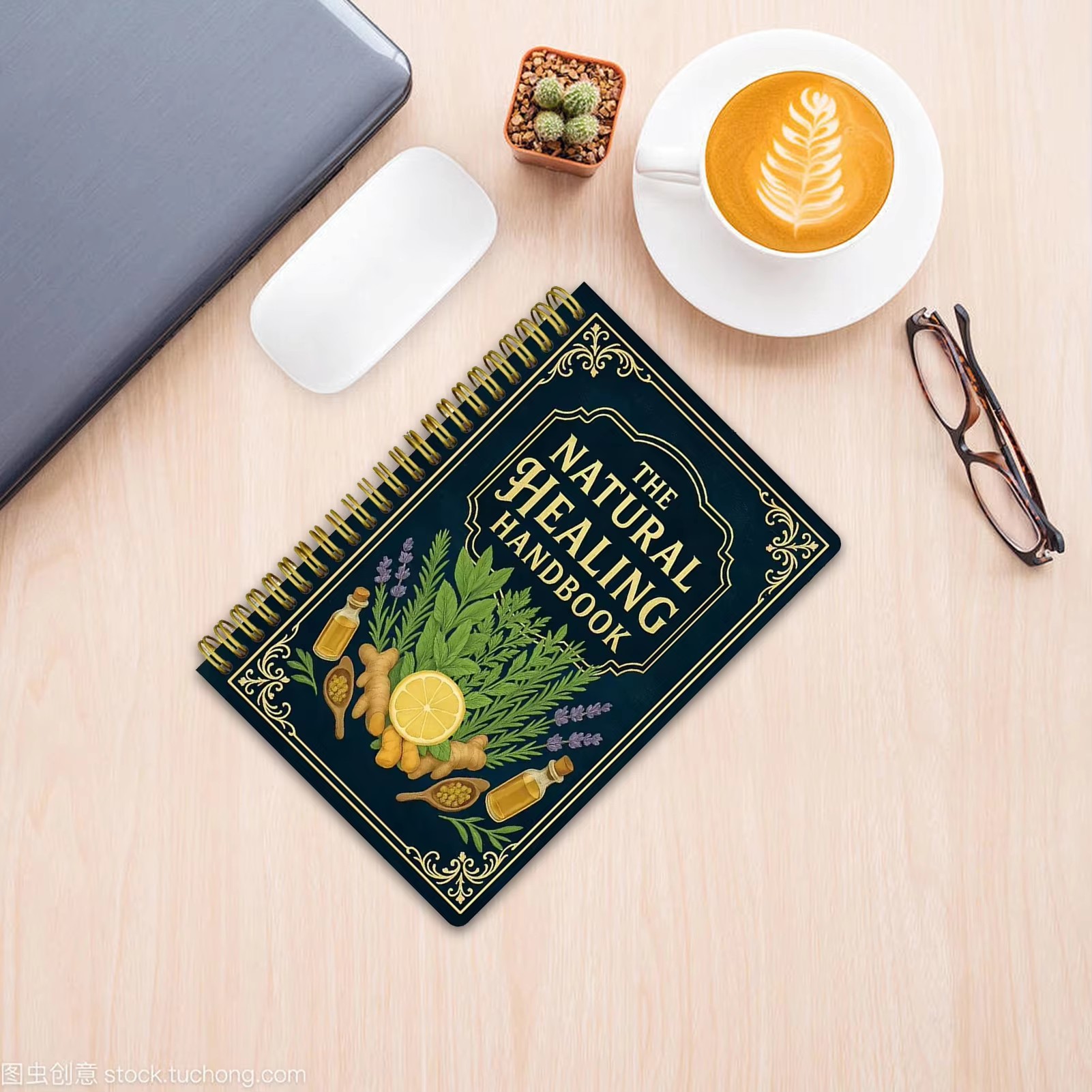 Healing Handbook By Luna Filby - Health & Wellness Alegria review and price