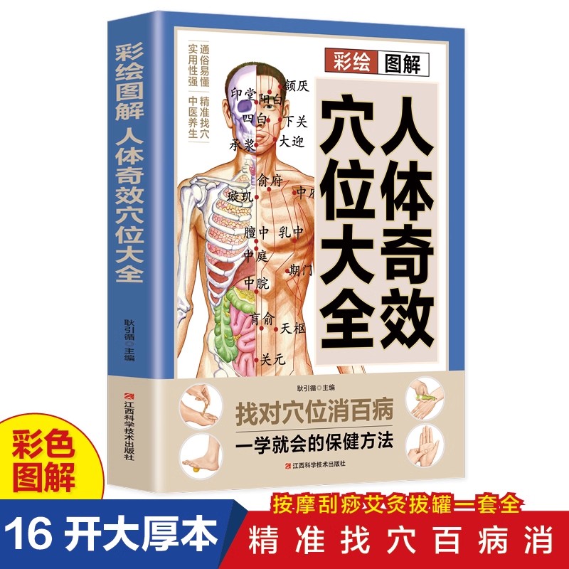 Acupoint Massage & TCM Health  - Health & Wellness Alegria review and price