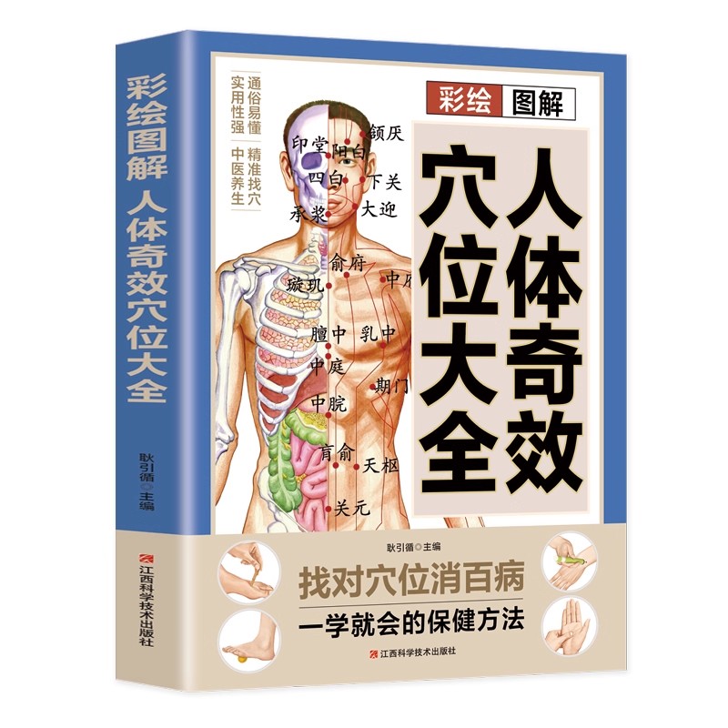 Acupoint Massage & TCM Health  - Health & Wellness Alegria review and price