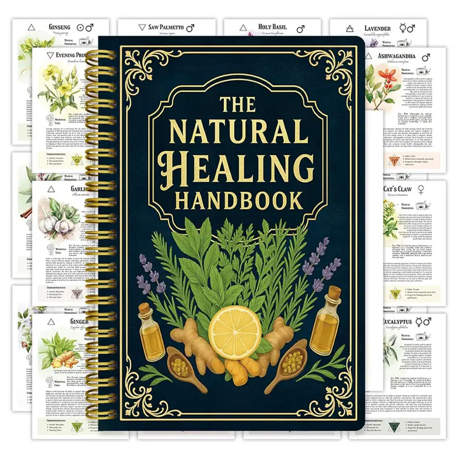 Natural Therapy Handbook, an E - Health & Wellness Alegria review and price