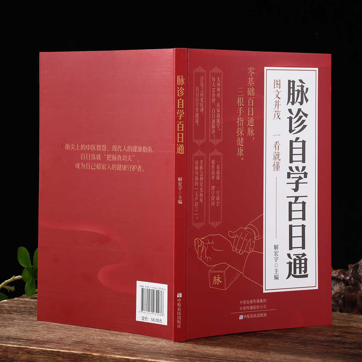 Pulse Diagnosis Self Study Hun - Health & Wellness Alegria review and price